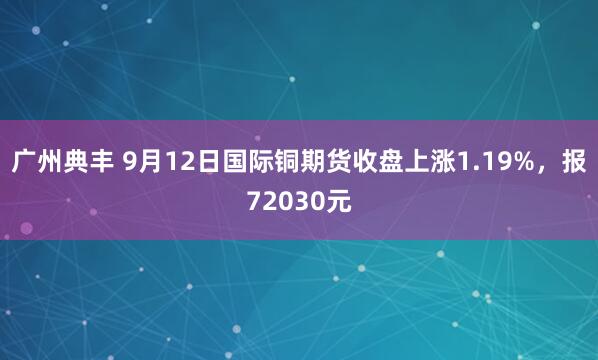 广州典丰 9月12日国际铜期货收盘上涨1.19%，报72030元