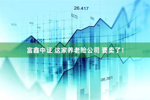 富鑫中证 这家养老险公司 要卖了！