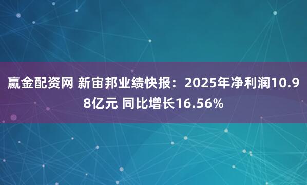 赢金配资网 新宙邦业绩快报：2025年净利润10.98亿元 同比增长16.56%