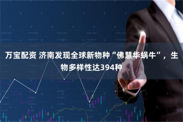 万宝配资 济南发现全球新物种“佛慧华蜗牛”，生物多样性达394种