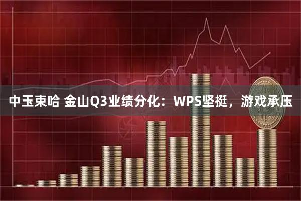 中玉束哈 金山Q3业绩分化：WPS坚挺，游戏承压